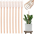Electroculture Plant Stakes 8 Pack | Enhance Plant Growth with Natural Energy