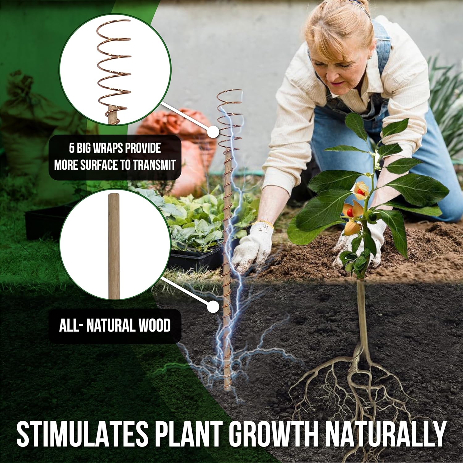 Electroculture Plant Stakes 8 Pack | Enhance Plant Growth with Natural Energy