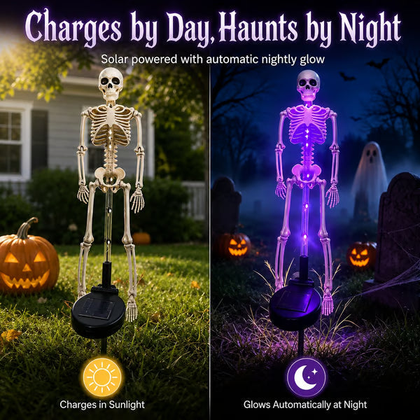Solar Skeleton YardStake