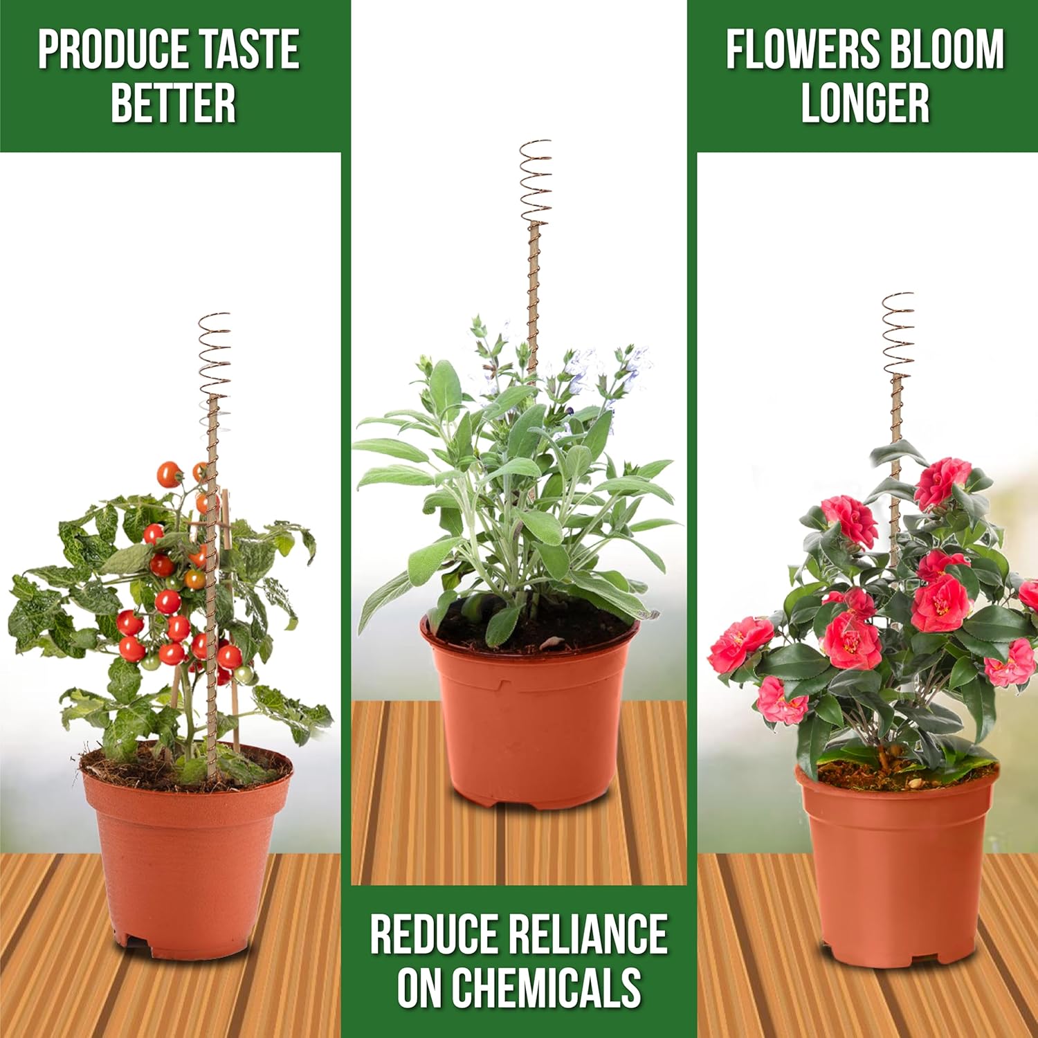 Electroculture Plant Stakes 8 Pack | Enhance Plant Growth with Natural Energy